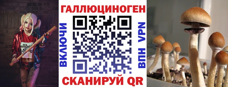 Галлюциногенные грибы прущие грибы  Волосово 