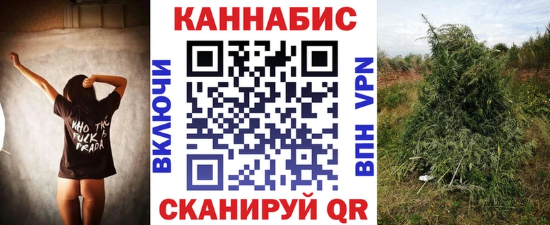 Бошки марихуана конопля  hydra онион  Волосово 